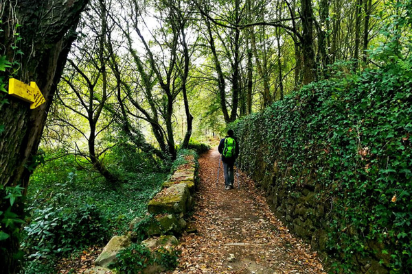 Portuguese Camino: Tui to Santiago - the Final Stage - 8 Days